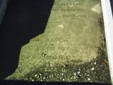 image of grave number 455954
